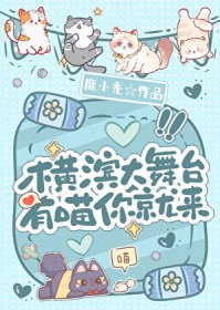 [综漫] 横滨大舞台，有喵你就来