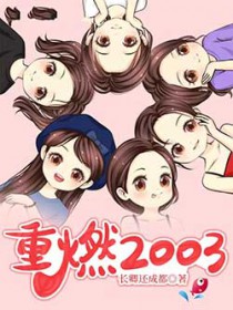 重燃2003
